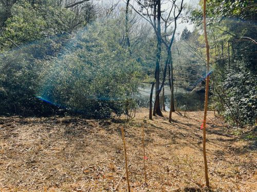 ぼっちキャンプ〜プリンテント立てるの巻〜 紫星の森 ソロキャンプ フリーサイト はさまっkoさんのキャンプブログ CAMPiii（キャンピー） -キャンプ専用SNS キャンプのすべてがここに集まる-