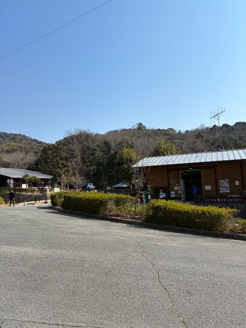 2026年4回目、桜開花直前キャン🌸 憩いの森公園 ファミリーキャンプ 区画サイト オートサイト わいげさんのキャンプブログ CAMPiii（キャンピー） -キャンプ専用SNS キャンプのすべてがここに集まる-