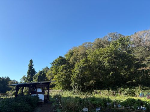期間限定の独身✖︎読書🟰独書キャンプ🏕️ 奥州平泉温泉 そば庵 しづか亭 ソロキャンプ 区画サイト ぱぱちょさんのキャンプブログ CAMPiii（キャンピー） -キャンプ専用SNS キャンプのすべてがここに集まる-