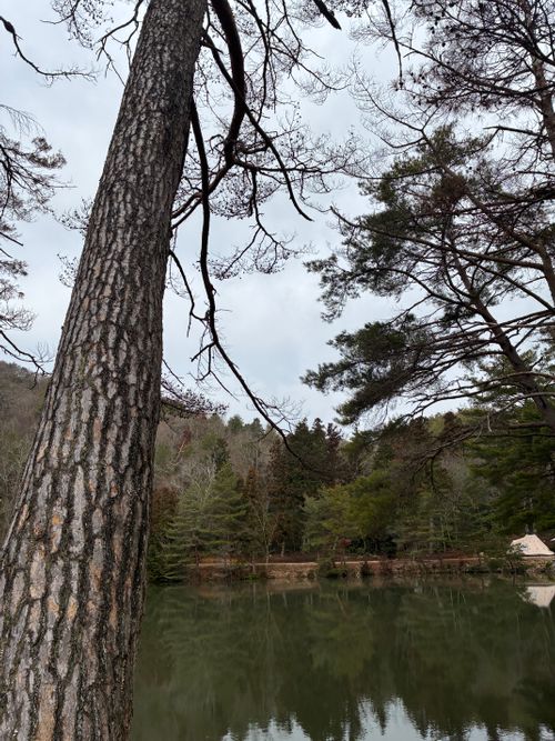 2026年3回目、湖畔キャン🏖️ キャンプ&コテージ フォレスタ広島 ファミリーキャンプ 区画サイト オートサイト わいげさんのキャンプブログ CAMPiii（キャンピー） -キャンプ専用SNS キャンプのすべてがここに集まる-