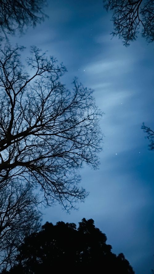 自分のYouTube動画で初めて語りました(笑) ソロキャンプ フリーサイト ちゃむ！さんのキャンプブログ CAMPiii（キャンピー） -キャンプ専用SNS キャンプのすべてがここに集まる-