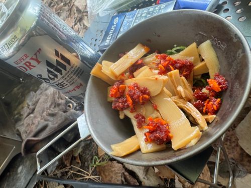 晴天のち雨、時々雪❄️ PICA富士西湖 ソロキャンプ グループキャンプ フリーサイト まっつんさんのキャンプブログ CAMPiii（キャンピー） -キャンプ専用SNS キャンプのすべてがここに集まる-