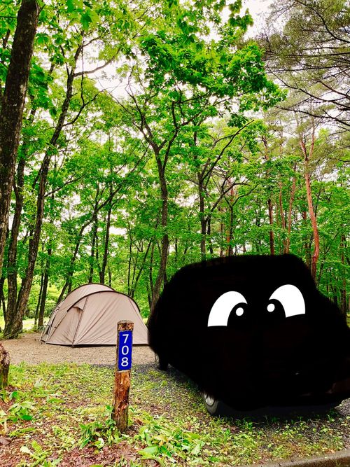 もう雪景色はおなかいっぱい&hellip;なので、現実逃避【備忘録】 エンゼルフォレスト那須白河｜ペットと泊まれる宿 Oniyomeさんのキャンプブログ CAMPiii（キャンピー） -キャンプ専用SNS キャンプのすべてがここに集まる-