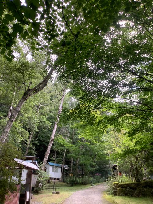 Vol.100 25/NO.19 涼しい所目指して行く‼️ 笛吹小屋キャンプ場 ソロキャンプ 区画サイト 🔥焚き火🔥さんのキャンプブログ CAMPiii(キャンピー) -キャンプ専用SNS キャンプのすべてがここに集まる-