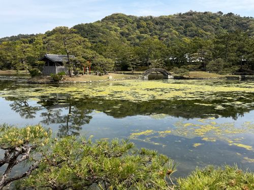近場でキャンプ かいづか いぶき温泉 ファミリーキャンプ 区画サイト yoji@campさんのキャンプブログ CAMPiii（キャンピー） -キャンプ専用SNS キャンプのすべてがここに集まる-