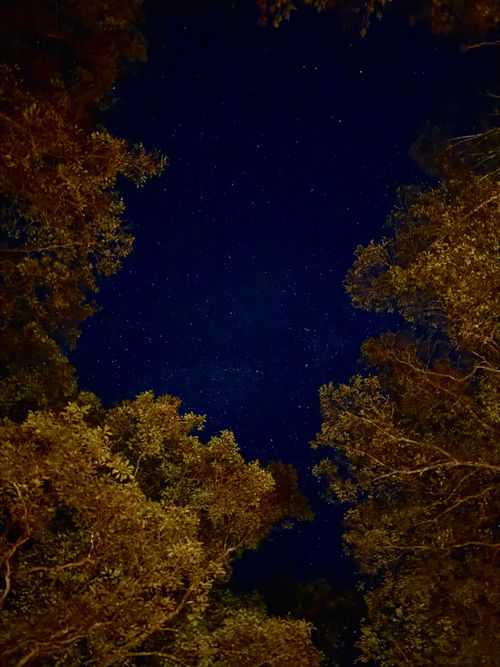 天気に恵まれて星空も綺麗 姫木平ホワイトバーチキャンプフィールド グループキャンプ 区画サイト OYAKATAさんのキャンプブログ CAMPiii（キャンピー） -キャンプ専用SNS キャンプのすべてがここに集まる-