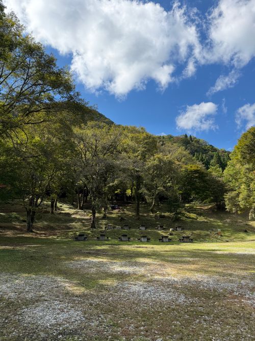 テントの日　サーカスの会　vol.2 グリーンパークハチ北 グループキャンプ 区画サイト あやぴーさんのキャンプブログ CAMPiii（キャンピー） -キャンプ専用SNS キャンプのすべてがここに集まる-