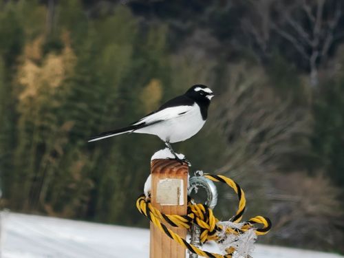 ここは、処！？ 笠置キャンプ場 ソロキャンプ グループキャンプ フリーサイト ぞのさんさんのキャンプブログ CAMPiii（キャンピー） -キャンプ専用SNS キャンプのすべてがここに集まる-