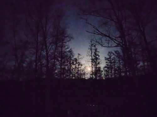 CAMPiii（キャンピー） Kazu Aさんのキャンプブログ 星空を求め 銀河もみじキャンプ場