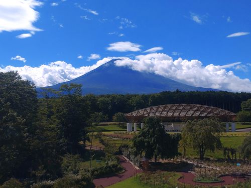 こんなのキャンプじゃない😣 キャンプ・アンド・キャビンズ山中湖 ファミリーキャンプ グループキャンプ 区画サイト ひげさんさんのキャンプブログ CAMPiii(キャンピー) -キャンプ専用SNS キャンプのすべてがここに集まる-