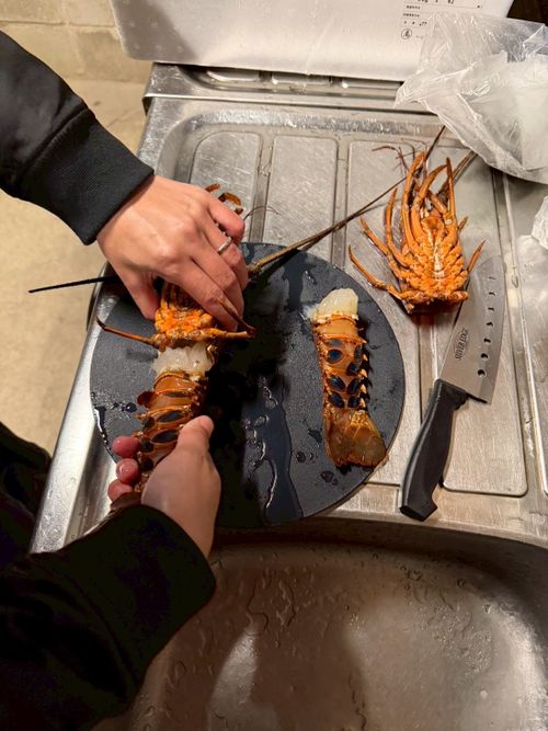 九州伊勢えびキャンプ🦞̥@紅葉観に行こーよ🍁 阿蘇レインボーバレー ファミリーキャンプ オートサイト ぐうたら夫婦さんのキャンプブログ CAMPiii（キャンピー） -キャンプ専用SNS キャンプのすべてがここに集まる-