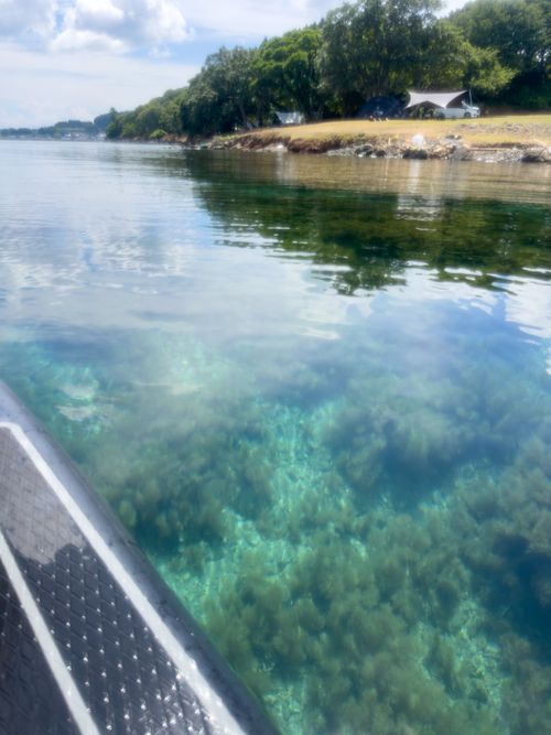 初の岬サイトでフルコース夏満喫プラン 能登島家族旅行村Ｗｅランド skitさんのキャンプブログ CAMPiii（キャンピー） -キャンプ専用SNS キャンプのすべてがここに集まる-