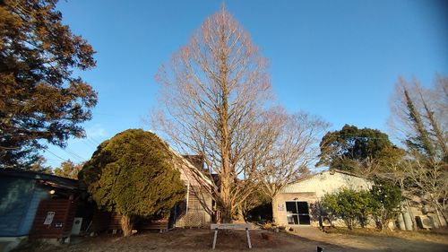 あけましておめでとうごニャイます！🐱（byまきお） ラピュタファームキャンプ場 グループキャンプ フリーサイト スローライフに憧れるさんのキャンプブログ CAMPiii（キャンピー） -キャンプ専用SNS キャンプのすべてがここに集まる-