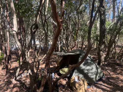 そろそろ冬キャンプも終わりかな PICA富士西湖 ソロキャンプ グループキャンプ 区画サイト フリーサイト まっつんさんのキャンプブログ CAMPiii（キャンピー） -キャンプ専用SNS キャンプのすべてがここに集まる-