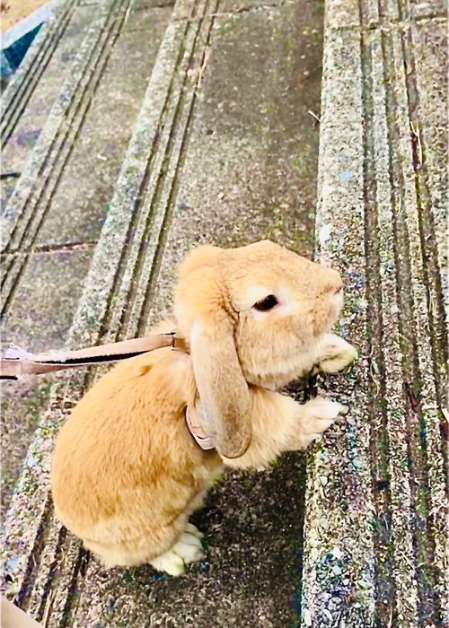 無理して出陣したイベント前日☔️雨降り前のおじ🐰キャン△ in ゆうゆう広場 〜 CAMP NO.215 ゆうゆう広場 ソロキャンプ ファミリーキャンプ 区画サイト フリーサイト おじキャン△さんのキャンプブログ CAMPiii（キャンピー） -キャンプ専用SNS キャンプのすべてがここに集まる-