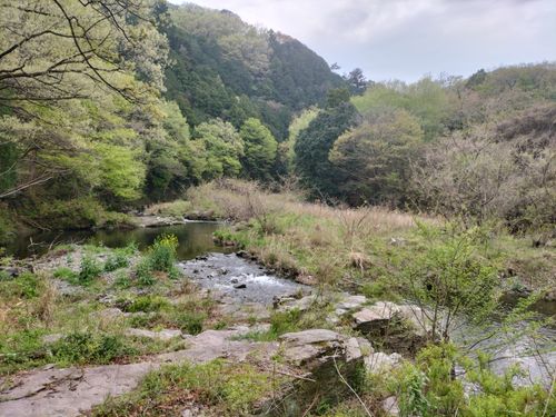 4月キャンプ⛺️スタート😁 月川荘キャンプ場 林間サイト ソロキャンプ フリーサイト ぼっちオヤジさんのキャンプブログ CAMPiii（キャンピー） -キャンプ専用SNS キャンプのすべてがここに集まる-