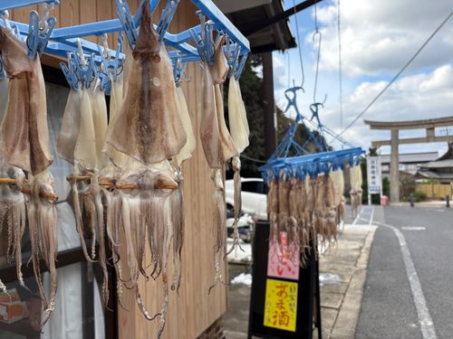 第92話　出雲は美味しい街だった！ 平田森林公園キャンプ場 ソロキャンプ フリーサイト ちろ犬さんのキャンプブログ CAMPiii（キャンピー） -キャンプ専用SNS キャンプのすべてがここに集まる-