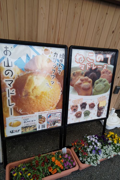 神割崎、海を眺め、タコを噛みしめ、ウニを頬張る🐙✨ 神割崎キャンプ場 ファミリーキャンプ オートサイト JGNさんのキャンプブログ CAMPiii（キャンピー） -キャンプ専用SNS キャンプのすべてがここに集まる-