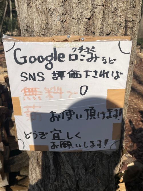 薪放題に満足🪵 くにあきの森：あなたまかせのキャンプ場 グループキャンプ ソロキャンプ フリーサイト もるがんさんのキャンプブログ CAMPiii（キャンピー） -キャンプ専用SNS キャンプのすべてがここに集まる-