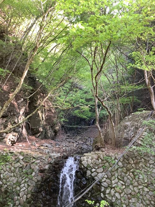 Vol.115 26/NO.05 今年も早速再開初日にお肉焼き焼きに行く‼️ 笛吹小屋キャンプ場 ソロキャンプ 区画サイト 🔥焚き火🔥さんのキャンプブログ CAMPiii（キャンピー） -キャンプ専用SNS キャンプのすべてがここに集まる-