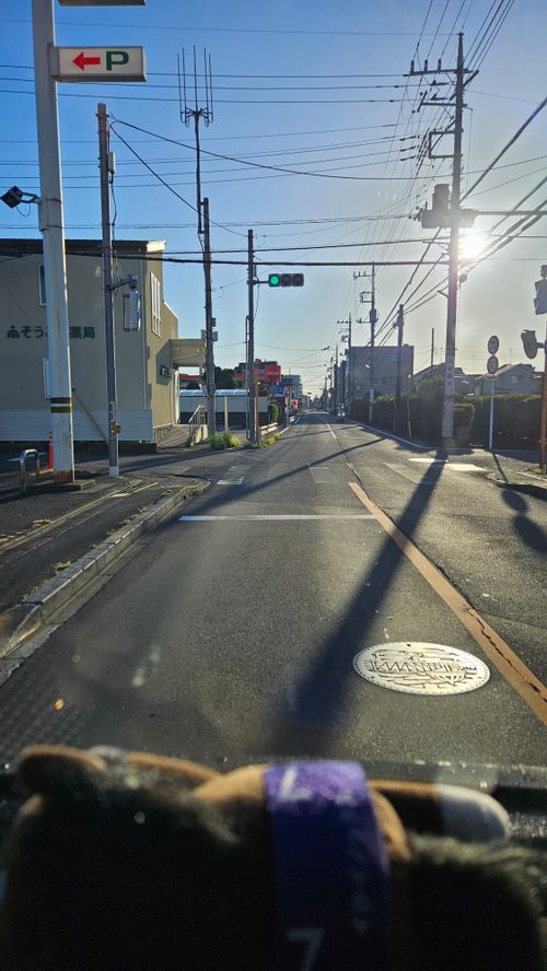 とりあえず250踏んどく(標高約910m)(オートサイト区画、2区画6人6台ー2620円/人) 本栖湖いこいの森キャンプ場 グループキャンプ 区画サイト オートサイト IZUIZUさんのキャンプブログ CAMPiii(キャンピー) -キャンプ専用SNS キャンプのすべてがここに集まる-