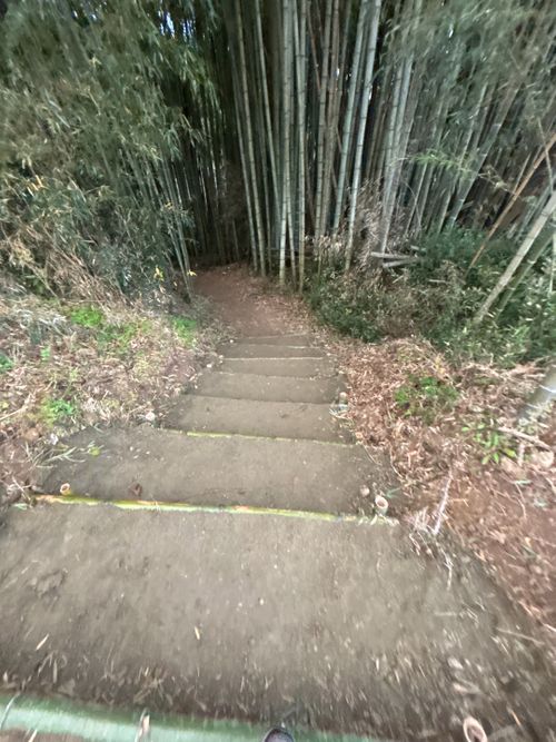 🎊新規キャンプ場オープン🎉🎉🎉 紫星の森 Oniyomeさんのキャンプブログ CAMPiii（キャンピー） -キャンプ専用SNS キャンプのすべてがここに集まる-