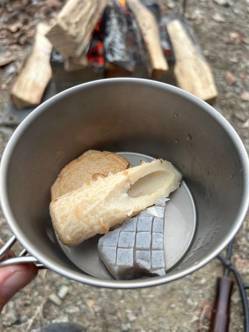 2026始動 新戸キャンプ場 ソロキャンプ フリーサイト Genさんのキャンプブログ CAMPiii（キャンピー） -キャンプ専用SNS キャンプのすべてがここに集まる-