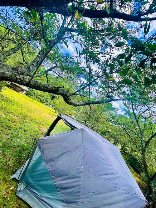 8/7は《キャンプ記念日⛺️》夏の想い出おじ🐰キャン△ in 阿武川温泉公園 〜 CAMP NO.206 萩阿武川温泉公園（キャンプ可） ソロキャンプ ファミリーキャンプ フリーサイト おじキャン△さんのキャンプブログ CAMPiii（キャンピー） -キャンプ専用SNS キャンプのすべてがここに集まる-