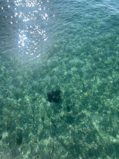 東京湾に残された唯一の自然島にてチェアリング 猿島 ソロキャンプ フリーサイト Genさんのキャンプブログ CAMPiii（キャンピー） -キャンプ専用SNS キャンプのすべてがここに集まる-