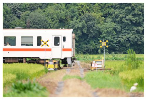 全国旅キャンプ第7弾の茨城編２日目 大洗キャンプ場 ENJOY THE OUTDOORSさんのキャンプブログ CAMPiii（キャンピー） -キャンプ専用SNS キャンプのすべてがここに集まる-