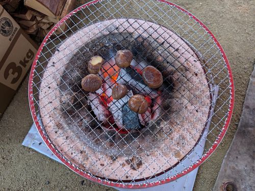 110回目のキャンプは秋の味覚だった いこいの森弘法山 ソロキャンプ フリーサイト オートサイト サイババ-SBBcampさんのキャンプブログ CAMPiii（キャンピー） -キャンプ専用SNS キャンプのすべてがここに集まる-