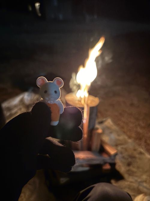 久しぶりに 神割崎キャンプ場 ファミリーキャンプ フリーサイト 範馬勇次郎さんのキャンプブログ CAMPiii（キャンピー） -キャンプ専用SNS キャンプのすべてがここに集まる-