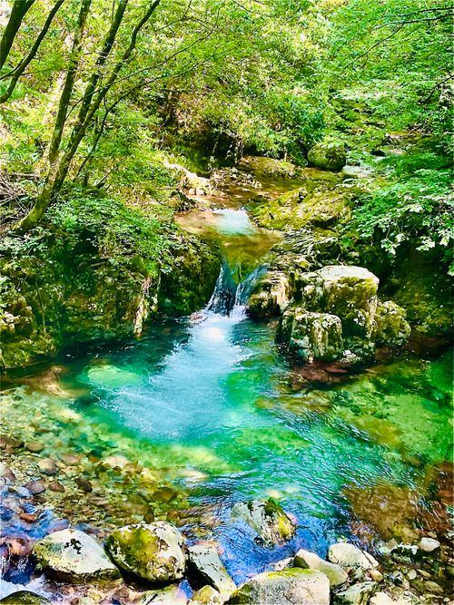 暑い夏に…涼を求めて…渓谷のキャンプ場へおじおばうさキャン△ in 匹見峡レストパーク 〜 CAMP NO.148 匹見峡レストパーク ファミリーキャンプ グループキャンプ 区画サイト おじキャン△さんのキャンプブログ CAMPiii（キャンピー） -キャンプ専用SNS キャンプのすべてがここに集まる-
