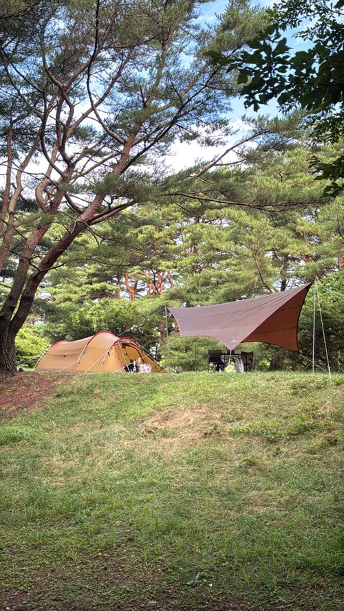 CAMPiii（キャンピー） えるさんのキャンプブログ 本栖湖キャンプ場に行ってきたヨ 本栖湖キャンプ場