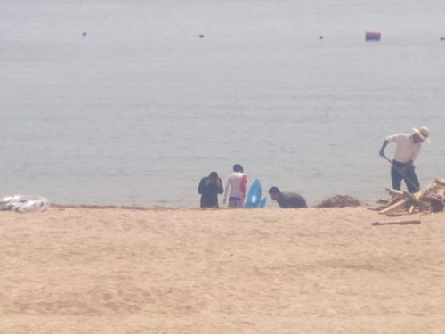 夏休み早よ終わらんかいねぇ&hellip; 片添ケ浜海浜公園 ファミリーキャンプ フリーサイト HARUMAGEDONさんのキャンプブログ CAMPiii（キャンピー） -キャンプ専用SNS キャンプのすべてがここに集まる-