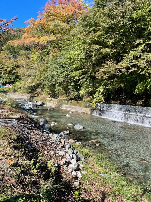 CAMPiii(キャンピー) ma9さんのキャンプブログ 同僚と道志村で2泊3日のふたりキャンプ! 道志村観光農園オートキャンプ場