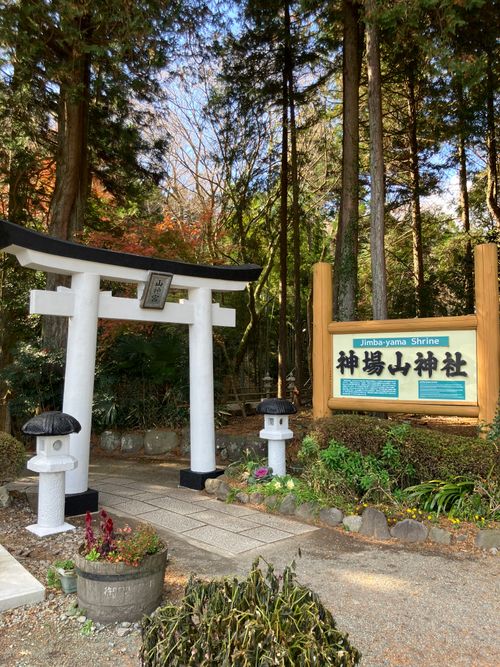 寒かったけど、その分富士山はキレイ！ PICA富士ぐりんぱ ソロキャンプ 区画サイト オートサイト アクセルさんのキャンプブログ CAMPiii（キャンピー） -キャンプ専用SNS キャンプのすべてがここに集まる-