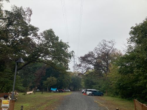 11月キャンプ⛺️スーパーカブで出撃🏍️ ソロキャンプ フリーサイト boorishcamperさんのキャンプブログ CAMPiii（キャンピー） -キャンプ専用SNS キャンプのすべてがここに集まる-