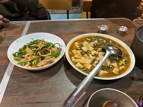 2026初🏕️キャン！明けましておめでとうございます キャンプグランド・ベアーベル ソロキャンプ ファミリーキャンプ グループキャンプ オートサイト ぱぱちょさんのキャンプブログ CAMPiii（キャンピー） -キャンプ専用SNS キャンプのすべてがここに集まる-