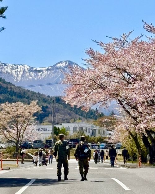 【番外編】駐屯地でお花見するっちゃ〜🌸🌸🌸 陸上自衛隊 福島駐屯地 Oniyomeさんのキャンプブログ CAMPiii（キャンピー） -キャンプ専用SNS キャンプのすべてがここに集まる-