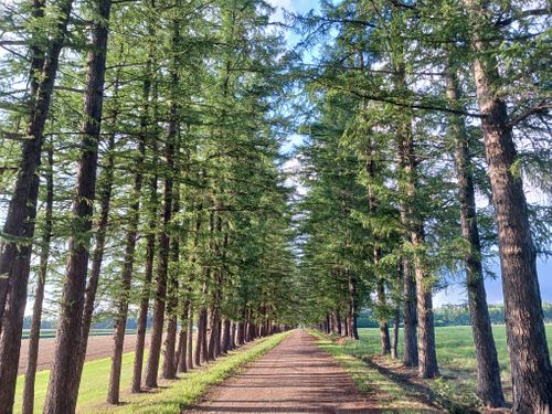 北海道の旨い!を食べるC△mp旅’2025(2 of 4) 北海道 ファミリーキャンプ キャンピングカー vios outdoor'sさんのキャンプブログ CAMPiii(キャンピー) -キャンプ専用SNS キャンプのすべてがここに集まる-
