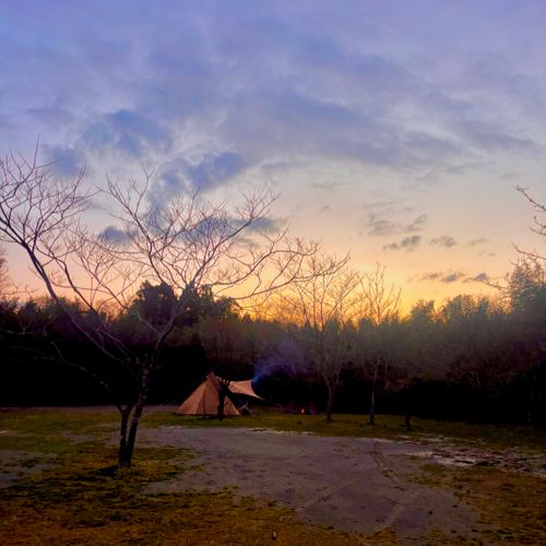 お久しぶり＆初めまして～全ての伏線回収編～ 紫星の森 Oniyomeさんのキャンプブログ CAMPiii（キャンピー） -キャンプ専用SNS キャンプのすべてがここに集まる-