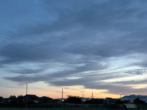 第86話　2泊3日で山梨に遊びにいく！これは惚気記事じゃなく、ちゃんとしたキャンプ記事です(多分) 四尾連湖 龍雲荘キャンプ場 ソロキャンプ グループキャンプ 区画サイト ちろ犬さんのキャンプブログ CAMPiii（キャンピー） -キャンプ専用SNS キャンプのすべてがここに集まる-