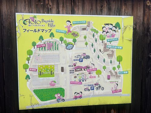 なんとか雨ももち😁 青戸ベイサイドヒルズ ファミリーキャンプ 区画サイト Kさんのキャンプブログ CAMPiii（キャンピー） -キャンプ専用SNS キャンプのすべてがここに集まる-