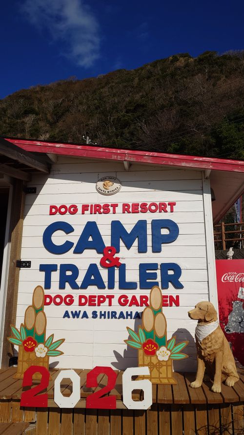恒例の新春ファミキャン！ THE DOG DEPT GARDEN RESORT-安房白浜- ファミリーキャンプ グループキャンプ 区画サイト まーささんのキャンプブログ CAMPiii（キャンピー） -キャンプ専用SNS キャンプのすべてがここに集まる-