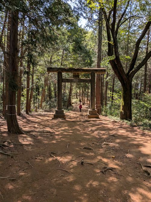 日和田山 ともえ川Park ソロキャンプ オートサイト フリーサイト IZUIZUさんのキャンプブログ CAMPiii（キャンピー） -キャンプ専用SNS キャンプのすべてがここに集まる-