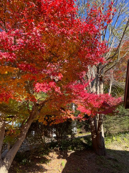 薪ストーブ初導入キャンプ⛺️ 細野渓流キャンプ場 ソロキャンプ グループキャンプ 区画サイト HiRo509さんのキャンプブログ CAMPiii（キャンピー） -キャンプ専用SNS キャンプのすべてがここに集まる-