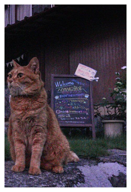CAMPiii（キャンピー） ENJOY THE OUTDOORSさんのキャンプブログ 全国旅キャンプ第9弾の佐賀編 古民家キャンプ場NYANKO BASE