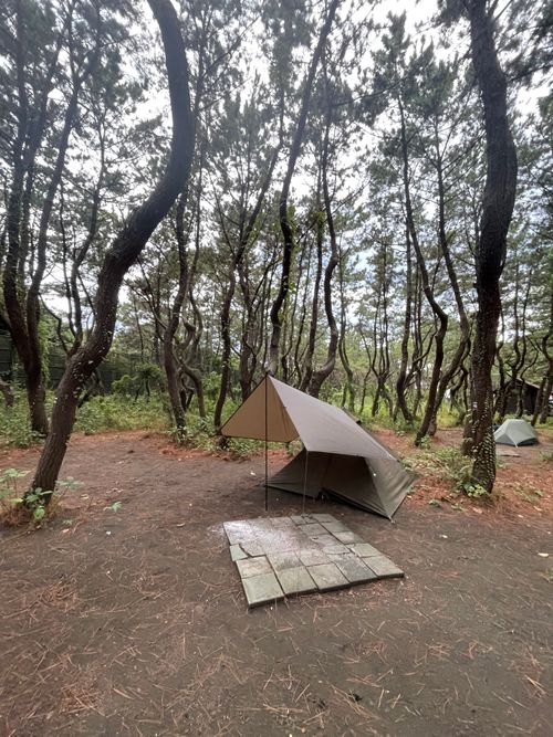 海岸通りが気持ちいい!徒歩ソロで行く、ちがさき柳島キャンプ場 柳島キャンプ場 ソロキャンプ 区画サイト ma9さんのキャンプブログ CAMPiii(キャンピー) -キャンプ専用SNS キャンプのすべてがここに集まる-