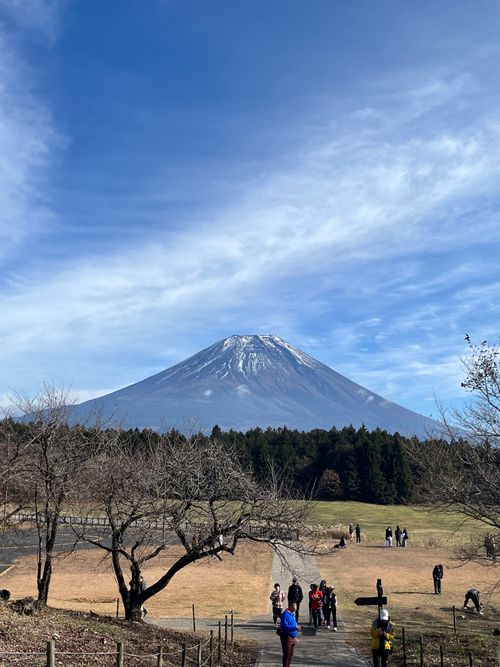 CAMPiii(キャンピー) gamiさんのキャンプブログ 晴れ、富士 ACN 西富士オートキャンプ場